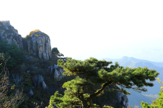 泰山风景