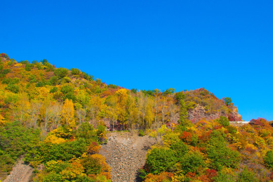 燕山秋色