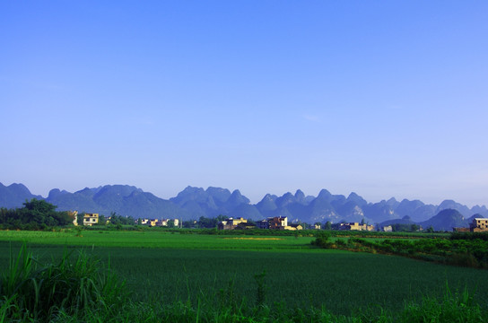 田园 乡村