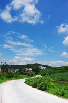 乡村风景