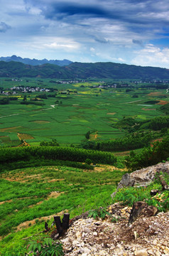 自然风景 丘陵