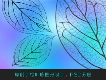 葉脈