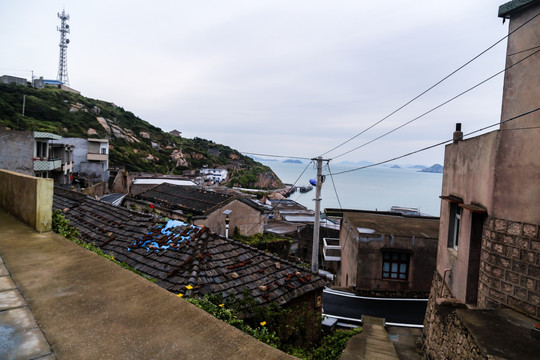 花鸟岛房子