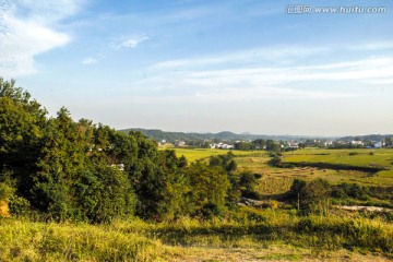 田野