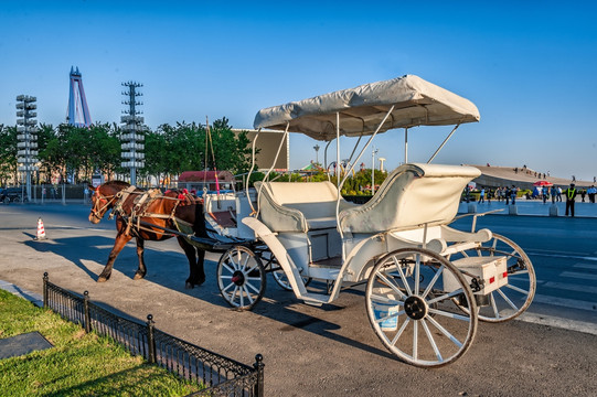 大连旅游马车