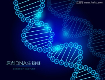 DNA生物链 DNA