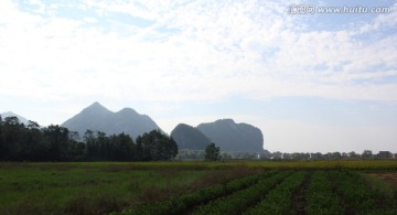 田园