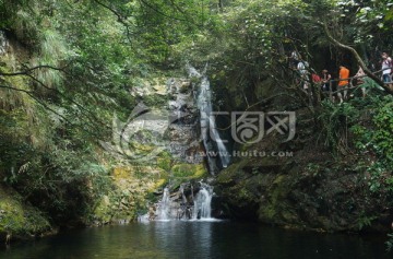 鼎湖山蝴蝶谷