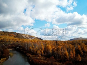 秋季的森林河流