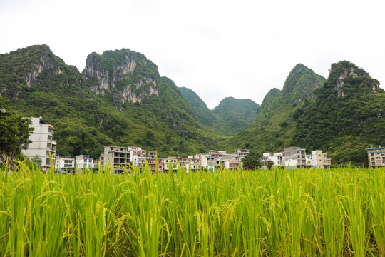 广西巴马风光 村庄