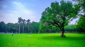 广州中山大学风景