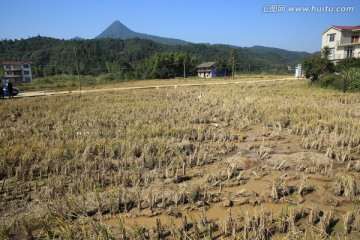 小村风景