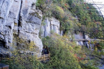 神农架燕子垭绝壁栈道