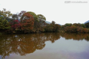 神农架大九湖的秋天