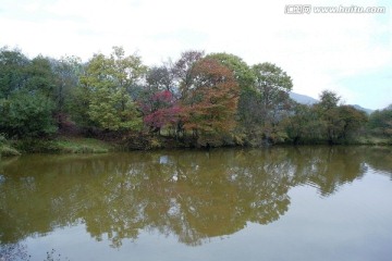 湖北大九湖红叶