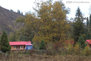 山林红顶屋