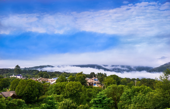 景迈茶山 景迈柏联（高清）