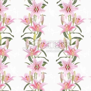 蝶戀花 百合花底紋 浪漫圖案