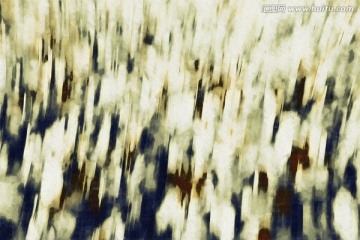 油畫