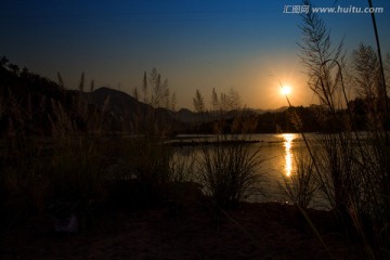 落日 夕阳 芦苇