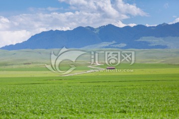 新疆雪山草原风光