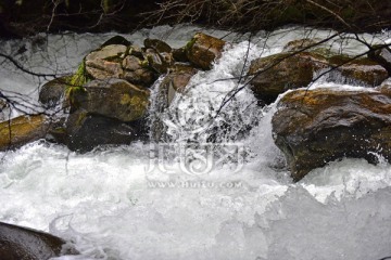 木格措溪流