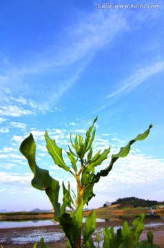 风景壁纸