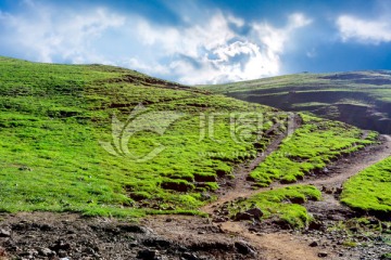 高山牧场