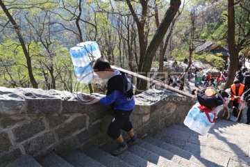 泰山挑山工