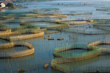 渔业养殖 霞浦风光