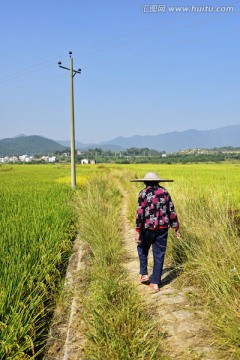 乡村 田园风光