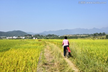 乡村 田园风光