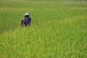 田园风光