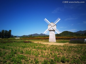 熏衣草庄园