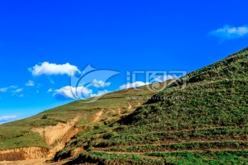 高山牧场