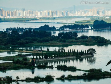 湿地风光