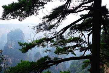 黄石寨山峰