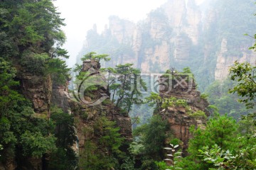 张家界黄石寨山峰植被