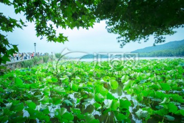 杭州西湖