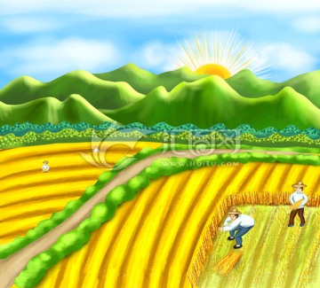 生态麦田农田收割小麦农民