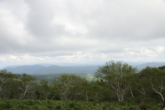 山区 树木 山顶云朵