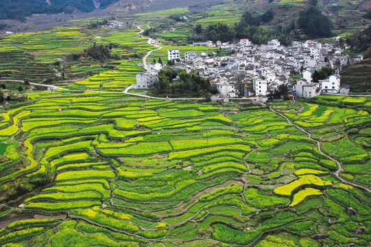 乡村风景