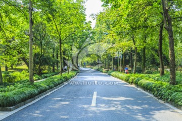 城市道路