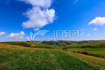 高山牧场