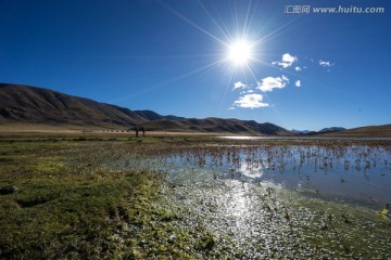 高原湿地