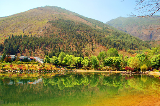 河岸风景 湖光山色