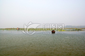 微山湖 河岸风景