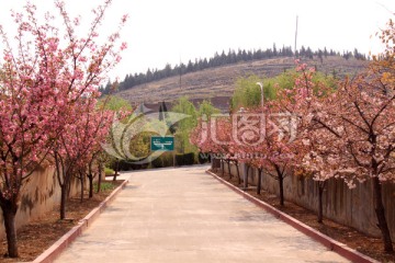 厂区风景