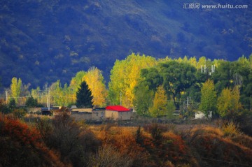 秋天山村晨光下的小屋