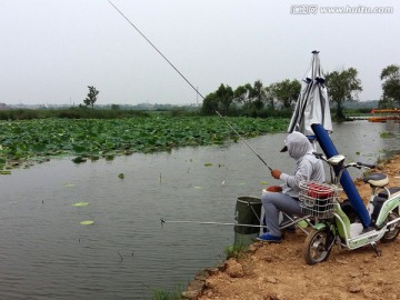 湖边垂钓